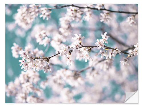 Vinilo para la pared Blossom flowers