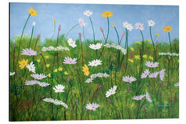 Aluminium print Wildflowers of Finland