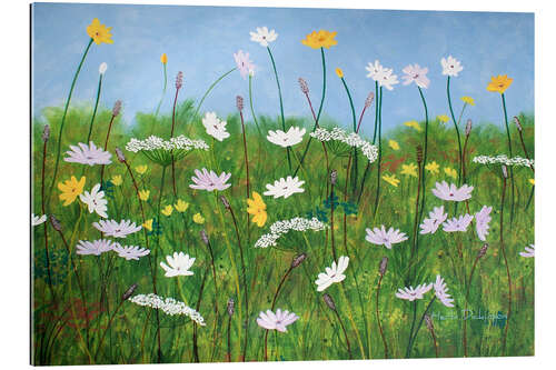 Tableau en plexi-alu Wildflowers of Finland