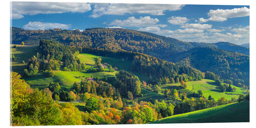 Akrylbilde Schwarzwald in Atumn