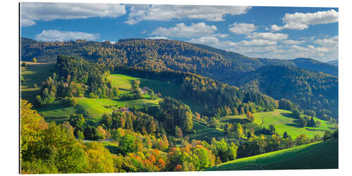 Quadro em plexi-alumínio Schwarzwald in Atumn