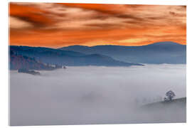 Obraz na szkle akrylowym Tree in the Sea of Fog - Markus Lange