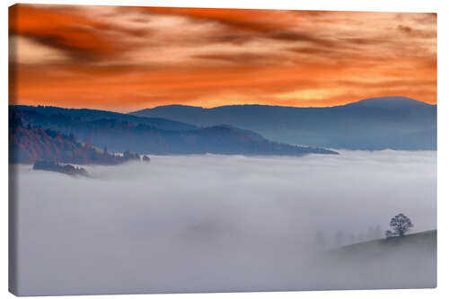 Stampa su tela Tree in the Sea of Fog