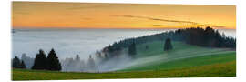 Quadro em acrílico Black Forest at Sunset in Autumn