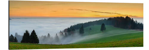 Aluminium print Black Forest at Sunset in Autumn