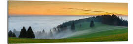 Alumiinitaulu Black Forest at Sunset in Autumn