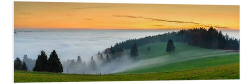 Bilde på skumplate Black Forest at Sunset in Autumn