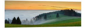 Quadro em PVC Black Forest at Sunset in Autumn