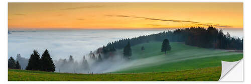 Naklejka na ścianę Black Forest at Sunset in Autumn