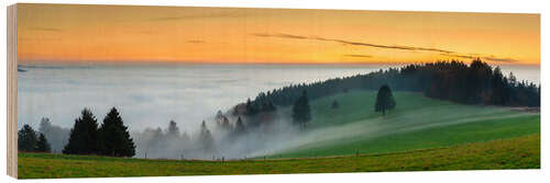 Obraz na drewnie Black Forest at Sunset in Autumn