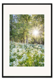 Gerahmter Kunstdruck Blumenwiese zum Sonnenaufgang im Frühling