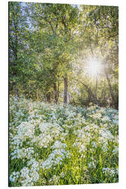 Magnettafel Blumenwiese zum Sonnenaufgang im Frühling