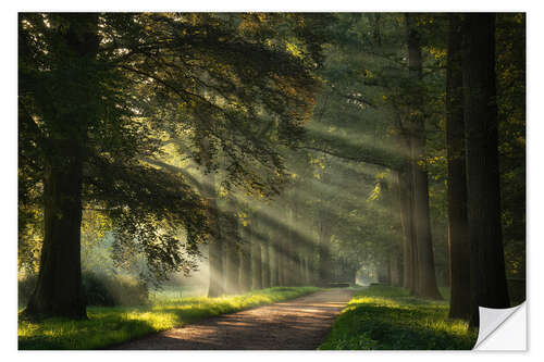 Selvklebende plakat A Beautiful Start of Autumn in the Netherlands