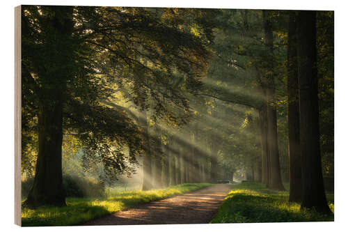 Wood print A Beautiful Start of Autumn in the Netherlands