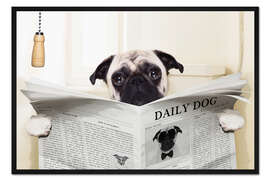 Gerahmter Kunstdruck Mops auf der Toilette - Pineapple Licensing