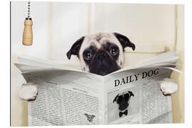 Gallery Print Mops auf der Toilette