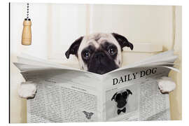 Magnettafel Mops auf der Toilette