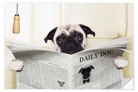 Vinilo para la pared Funny Pug Bathroom Break