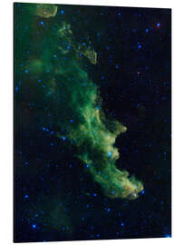 Magnettafel 'Hexenkopf' Brütet Baby Stars