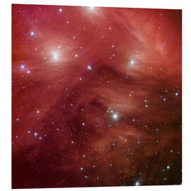 Foam board print Pink Pleiades