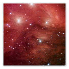 Poster Pink Pleiades