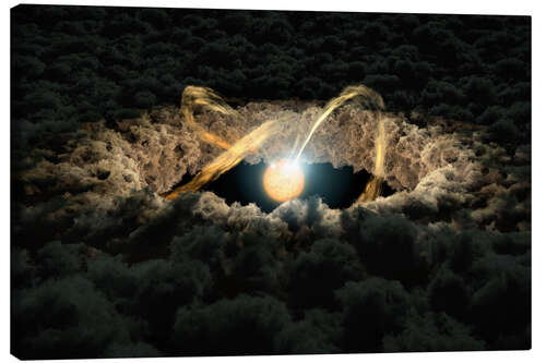 Canvas print Simulation of a Protoplanetary Disk
