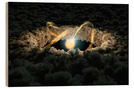 Puutaulu Simulation of a Protoplanetary Disk