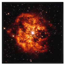 Gerahmter Kunstdruck Stern Hen 2-427 (WR 124) und Nebel M1-67