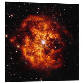 Foam board print Star Hen 2-427 (WR 124) and Nebula M1-67