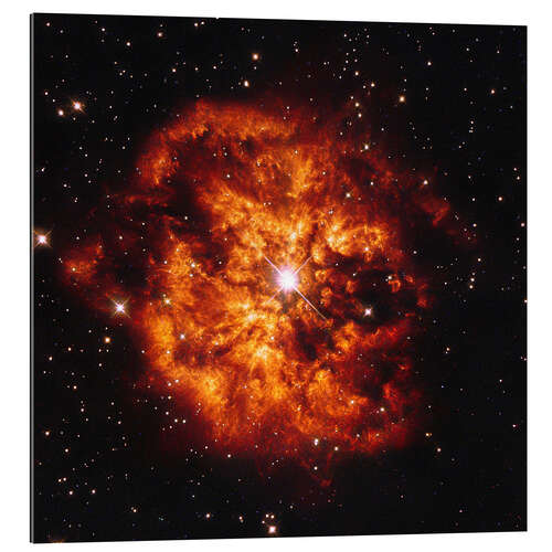 Tableau en plexi-alu Star Hen 2-427 (WR 124) and Nebula M1-67