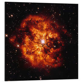 Magnettafel Stern Hen 2-427 (WR 124) und Nebel M1-67