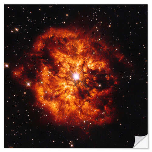 Vinilo para la pared Star Hen 2-427 (WR 124) and Nebula M1-67