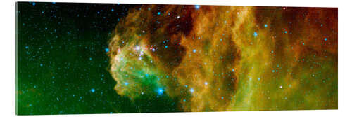 Stampa su vetro acrilico Young Stars Emerge from Orion's Head