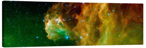 Tableau sur toile Young Stars Emerge from Orion's Head