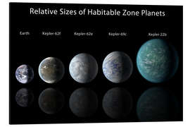 Cuadro de aluminio Relative Sizes of Habitable Zone Planets