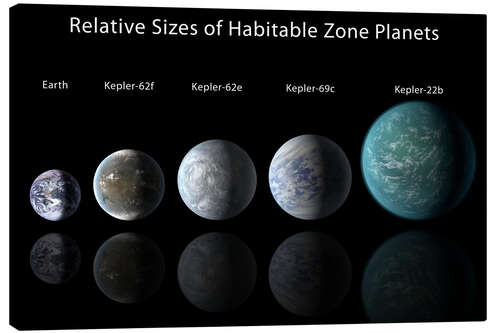 Canvas print Relative Sizes of Habitable Zone Planets