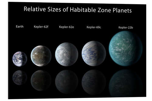 Foam board print Relative Sizes of Habitable Zone Planets