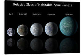 Gallery print Relative Sizes of Habitable Zone Planets