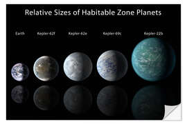 Selvklebende plakat Relative Sizes of Habitable Zone Planets