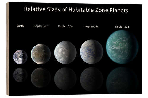 Wood print Relative Sizes of Habitable Zone Planets