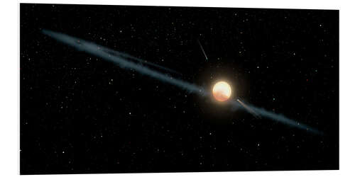 Tableau en PVC Tabby's Star