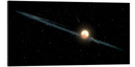 Galleriprint Tabby&#039;s Star