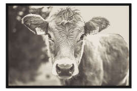 Gerahmter Kunstdruck Junge Kuh