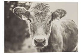 Quadro em PVC Young Cow