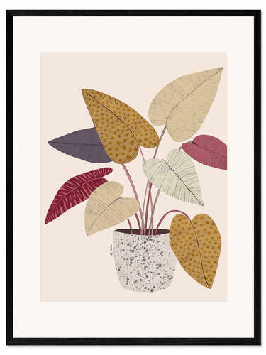 Framed art print Maranta