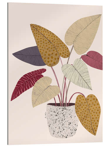 Gallery print Maranta