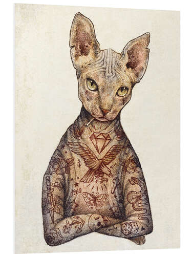 Foam board print Sphynx