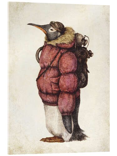 Obraz na szkle akrylowym Antarctic Explorer III