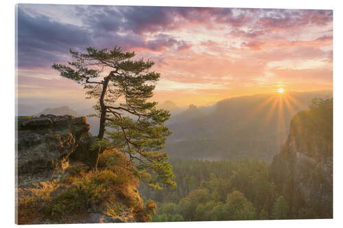 Akrylglastavla Sunrise in Saxon Switzerland