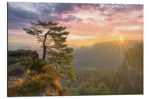 Aluminiumtavla Sunrise in Saxon Switzerland